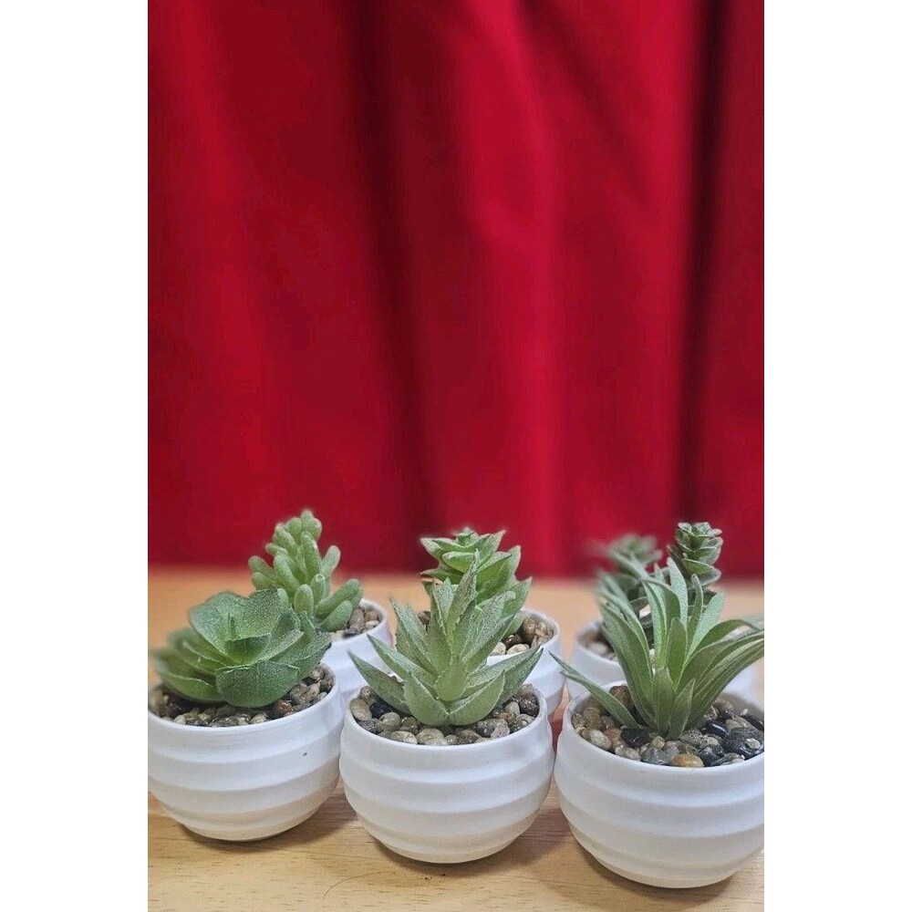 Set of 6 Faux Succulent Plants in White Pots Mini Artificial Desk Home Decor